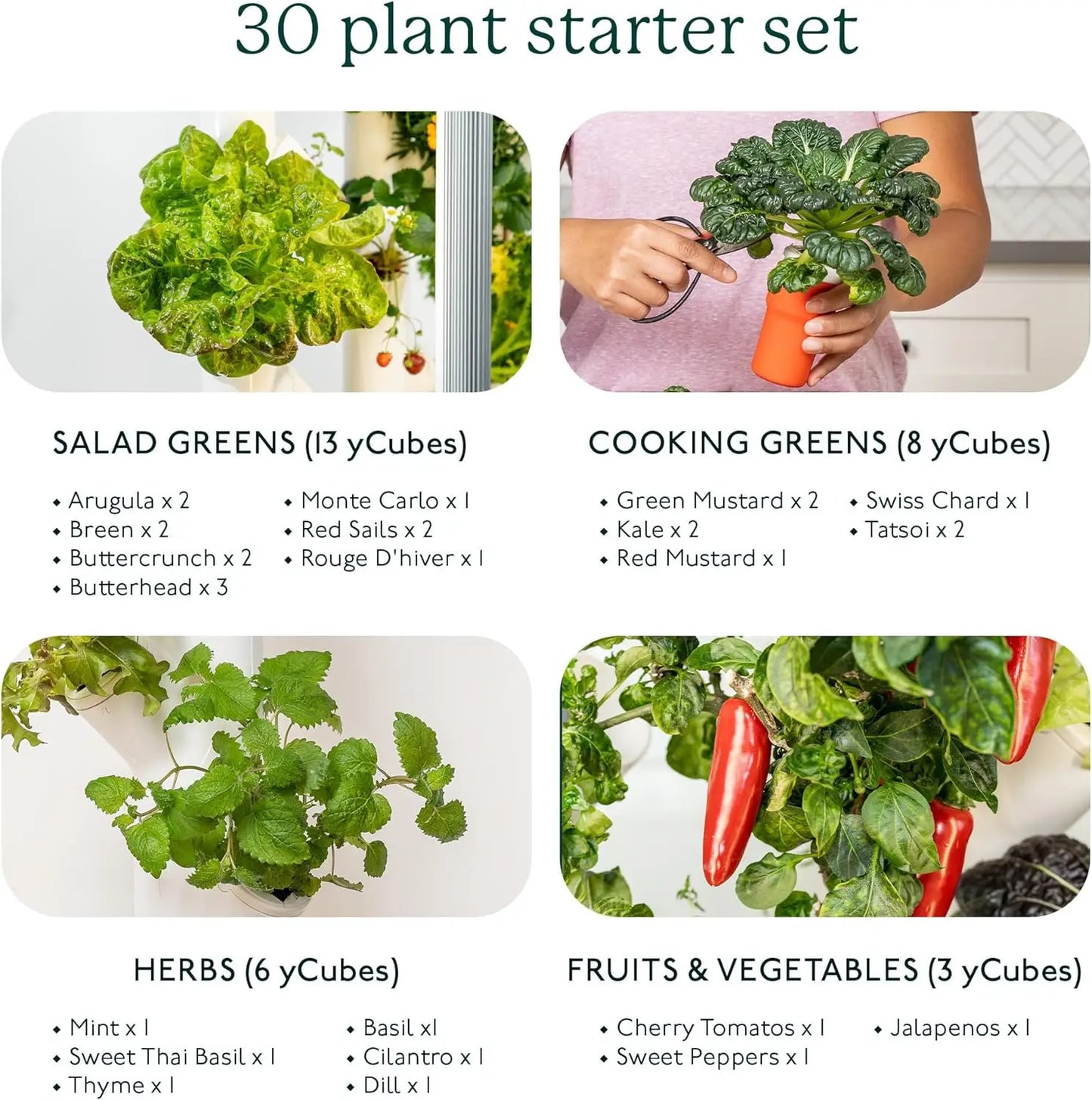 Hydroponics Growing System & Vertical Garden Planter