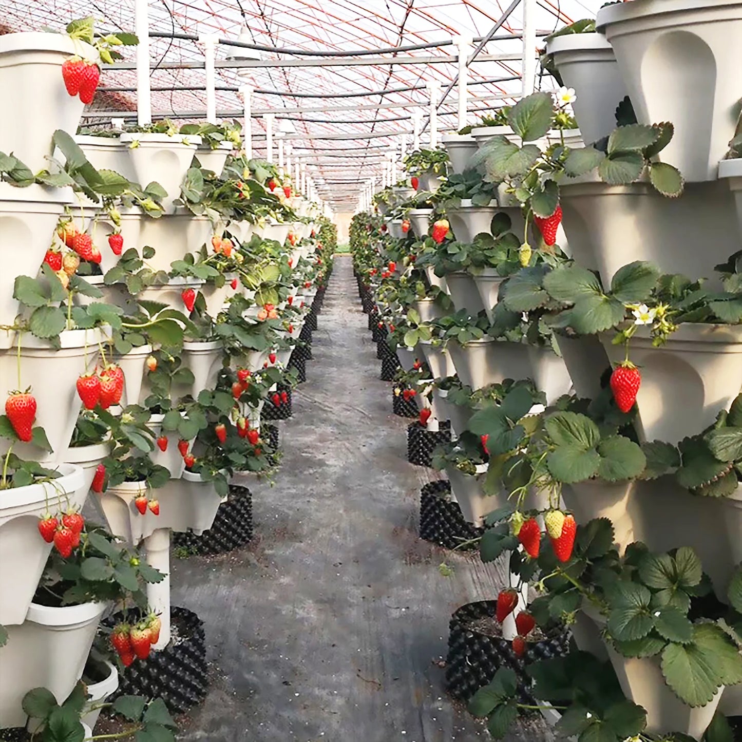Three-Petal Stackable Vertical Flower, Fruit, Vegetable Planter
