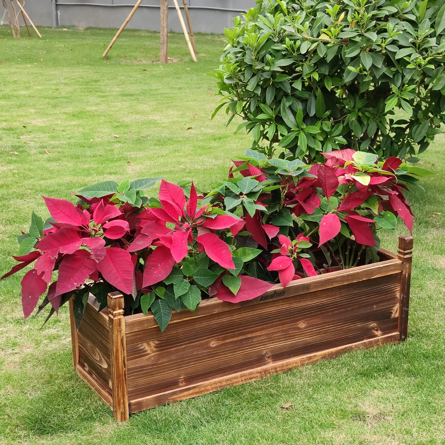 Bed Flower/Vegetable Planter Window Mounted Plant Box