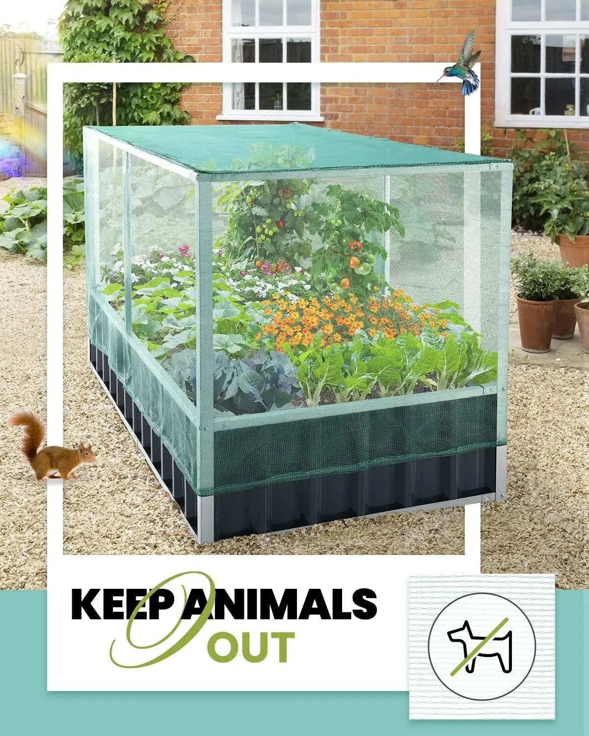 Raised Garden Bed with Anti Bird Protection Netting