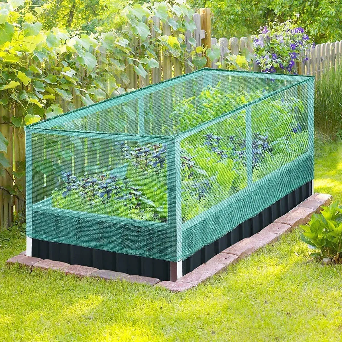 Raised Garden Bed with Anti Bird Protection Netting